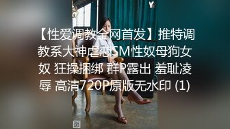 【性爱调教全网首发】推特调教系大神虐恋SM性奴母狗女奴 狂操捆绑 群P露出 羞耻凌辱 高清720P原版无水印 (1)