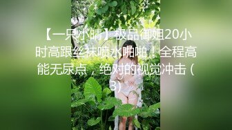 【一只小晴】极品御姐20小时高跟丝袜喷水啪啪！全程高能无尿点，绝对的视觉冲击 (3)