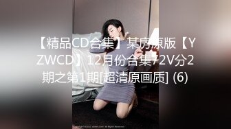 【精品CD合集】某房原版【YZWCD】12月份合集72V分2期之第1期[超清原画质] (6)