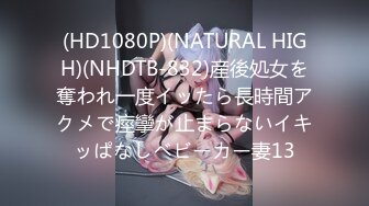 (HD1080P)(NATURAL HIGH)(NHDTB-832)産後処女を奪われ一度イッたら長時間アクメで痙攣が止まらないイキッぱなしベビーカー妻13