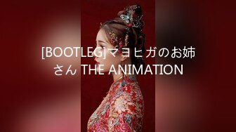 [BOOTLEG]マヨヒガのお姉さん THE ANIMATION