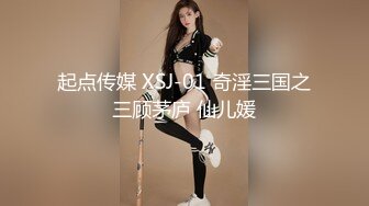 起点传媒 XSJ-01 奇淫三国之三顾茅庐 仙儿媛