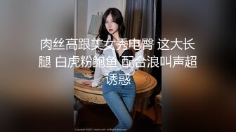 肉丝高跟美女秀电臀 这大长腿 白虎粉鲍鱼 配合浪叫声超诱惑