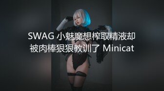 SWAG 小魅魔想榨取精液却被肉棒狠狠教训了 Minicat