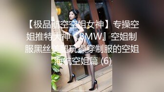 【极品航空空姐女神】专操空姐推特大神『BMW』空姐制服黑丝美腿玩操穿制服的空姐 海航空姐篇 (6)