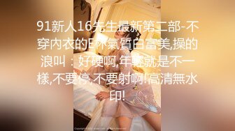 91新人16先生最新第二部-不穿內衣的E杯氣質白富美,操的浪叫：好硬啊,年輕就是不一樣,不要停,不要射啊!高清無水印!