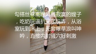 勾搭丝袜高跟风骚寂寞的嫂子，吃奶玩逼扒光了玩弄，从浴室玩到床上，无套爆草浪叫呻吟，直接内射骚穴好刺激