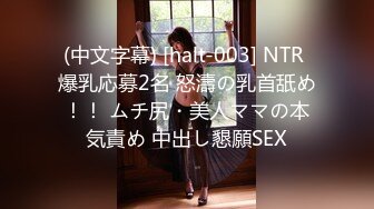 (中文字幕) [halt-003] NTR 爆乳応募2名 怒濤の乳首舐め！！ ムチ尻・美人ママの本気責め 中出し懇願SEX